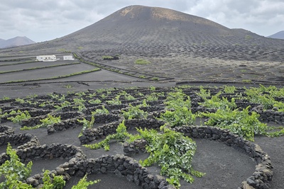 GRAN TOUR DI LANZAROTE